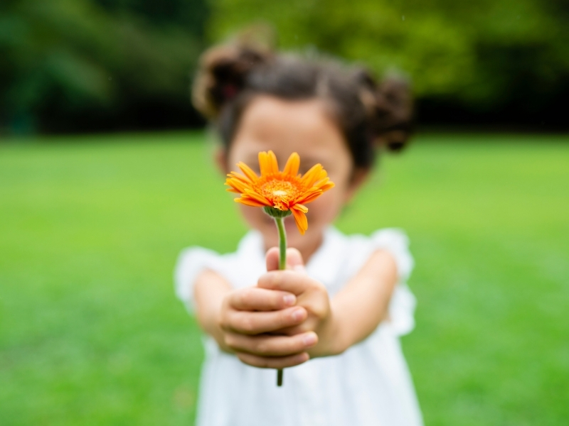 Buku Kecil untuk Perasaan Besar